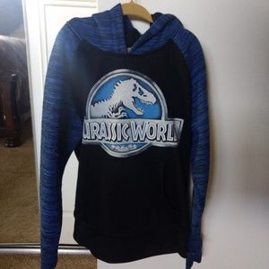 Jurassic Park hoodie (sorry World)